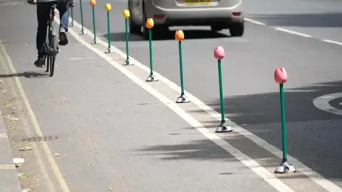 BBC The colourful new tulips bollards lining a bike lane in Sussex Gardens with a cyclist riding in the bike lane and a car on the road outside of the bike lane