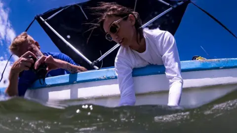 David Garcia/Mision Tiburon Ilena Zanella