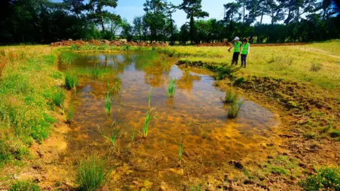 Freshwater Habitats Trust/PA Media A new clean water pond created by Freshwater Habitats Trust