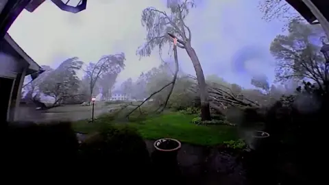 Tornado winds knocking down trees