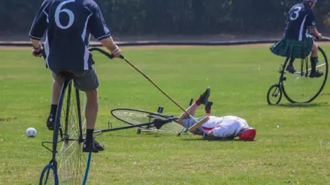 Penny Farthing Club A player lies on the grass beside a fallen penny farthing bicycle as other riders continue playing nearby