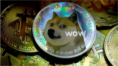 Dogecoin takes off after tip by Elon Musk