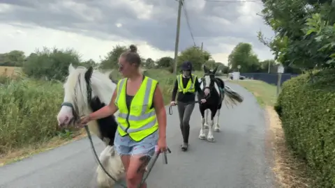 BBC A woman leading a white and black pony. Behind her is a girl leading another black and white pony on a narrow road in between two fields. 