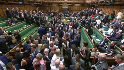 House of Commons MPs voting