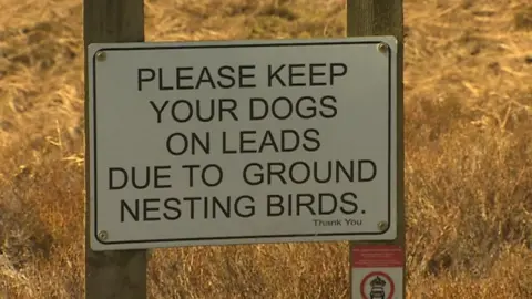 A sign saying 'Please keep your dog on a lead due to ground nesting birds'