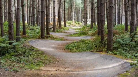 Getty Images Cannock Chase