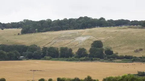 sbna Whipsnade chalk lion