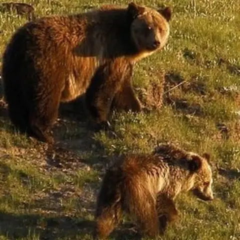 Reuters There's an emerging generation of "bear children" (children who lack discipline) in China