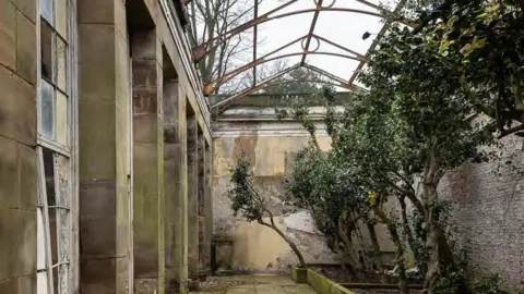 Wentworth Woodhouse Preservation Trust The derelict inside of the Camellia House. It has the remains of Camellia bushes in beds to the right of the building, broken windows, and no roof.