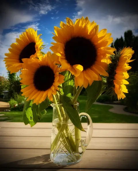 Lynne.Falconer Four sunflowers in a vase on a wooden table outdoors