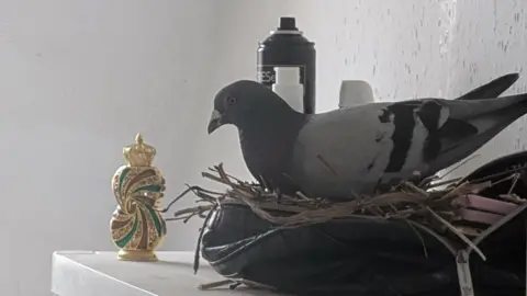 A bird on a shelf that has made a nest in a makeup bag. There is an ornament in front of her. Twigs are in the bag and bottles behind her. 