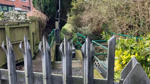 A iron fence is in the foreground. There is a gap behind it, surrounded by green railings. There is shrubbery and trees on the right hand side and a house with a wooden fence on the left - just a few windows are visible.