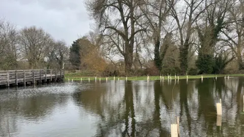 A river has burst its banks and has flooded an area of grass where trees have been planted. 