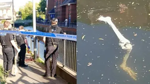 Montage: Left, officers behind a cordon looking at a river, Right, a plastic leg bone bobbing in the water