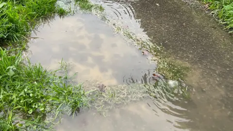 Robert Lowries A pavement covered in water in the village of Hill Ridware in Staffordshire.  Brown solid matter and discoloration is visible in the water. 