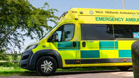 Getty Images A yellow and green patterned ambulance on a road with grass behind it