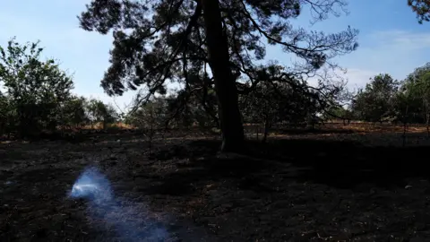 Jacob King/PA Wire The burnt remains of charred grass and a tree after a large grassfire.