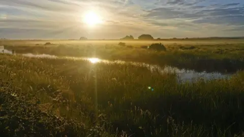 Kent Wildlife Trust Oare Marshes Nature Reserve