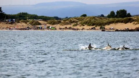 Stephen Jones Porthcawl dolphins 
