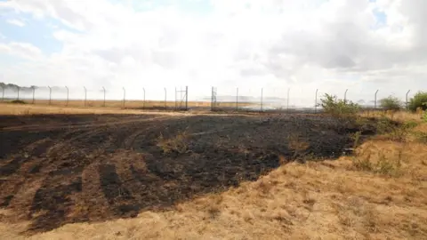LAURA FOSTER/BBC Burned land with a fence in the background.
