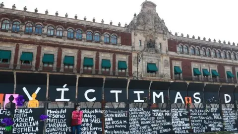 Women's day: Mexico barrier turned into women's memorial