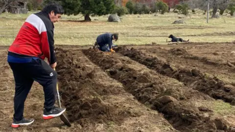 David Mardones Two people can be seen painting flowers in flower beds with tress and fields behind them. The man in the foreground is holding a shovel as he digs in wearing a red, black and white jacket.