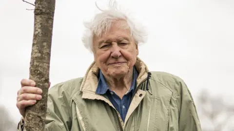 PA Media Sir David Attenborough holding on to a tree. He is standing outside and is looking directly at the camera and smiling. He is wearing a blue shirt with a waterproof coat over the top.