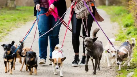 Getty Images Dog walkers