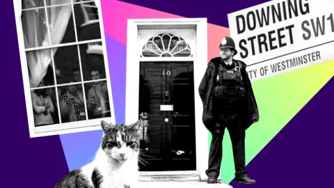 Collage of Larry the cat, the door of No 10 Downing Street, a police man, the Downing Street road sign and staff looking out the windows at Downing Street