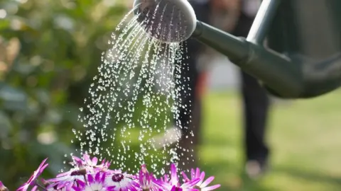 Scottish Water Watering can