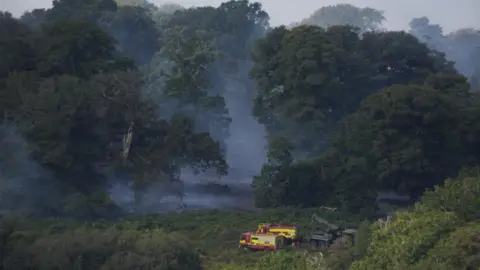 Smoke can be seen rising from the fire at the heathland in the New Forest amid large trees, two fire appliances can be seen at the bottom in the foreground 