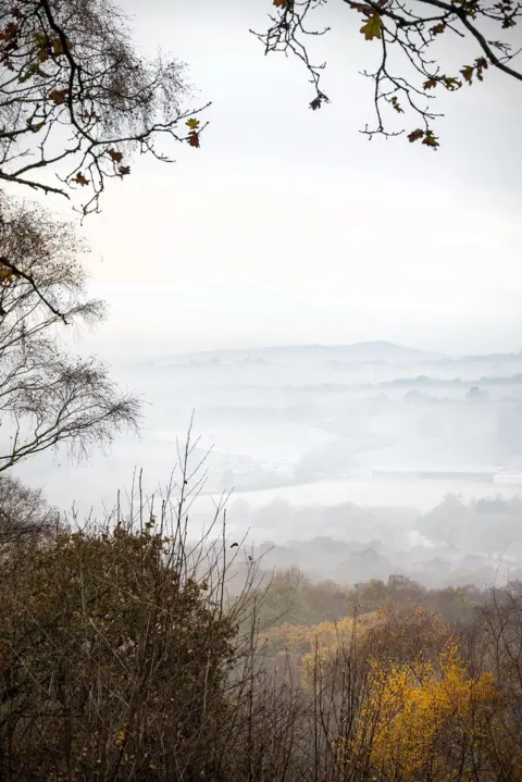 Steve Spencer Golden trees in the foreground with mist rolling over fields in the distance, looking towards hills on the horizon