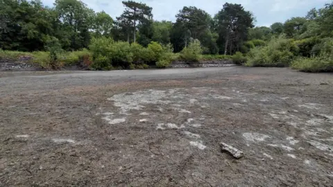 Leicestershire and Rutland Wildlife Trust Colony reservoir completely dried out with trees in the background