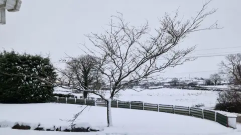 Severe Weather Warning: Storm Bert Brings Snow and Travel Disruptions to Northern Ireland