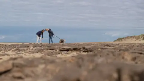 BBC The footprints beds form layers of fragile sediment that are revealed by erosion