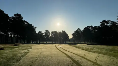 A frosty lawn with footprints on and in front of a row of trees under a bright blue sky and low sun 