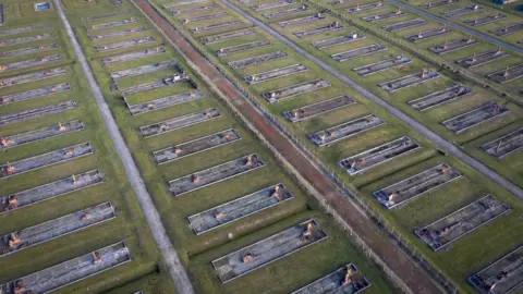 Getty Images An aerial view of the Auschwitz II-Birkenau extermination camp on December 19, 2019 in Oswiecim, Poland