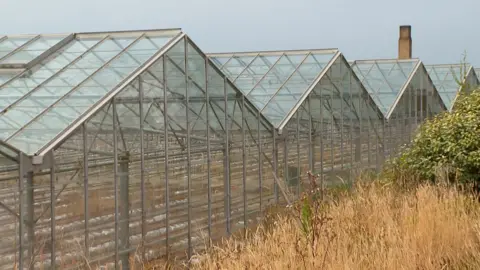 BBC Pointes Rocques vinery