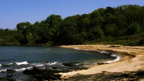 Getty Images Crawfordsburn Country Park