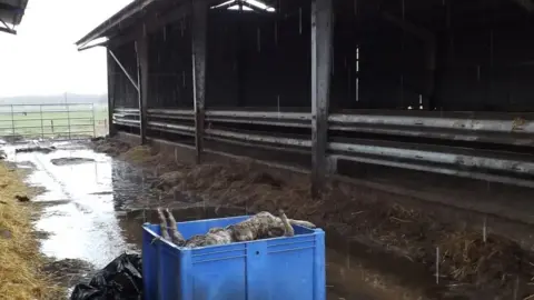 Suffolk Trading Standards Parker's farm