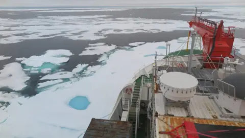 Felix Linhardt/Kiel University polarstern