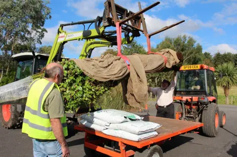 RBGE Tree planting