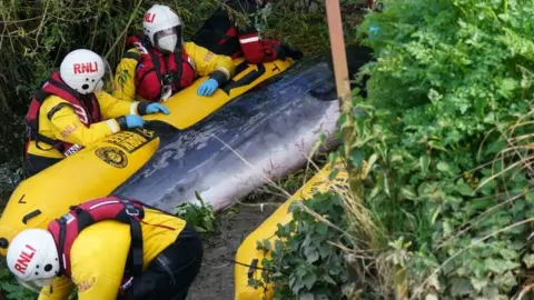 PA Media RNLI crew with whale