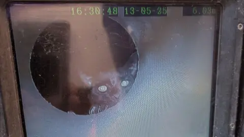 RSPCA A blurry image shows a black kitten's face looking out of some sort of window. A marker at the top of the image shows the time and date of the camera shot