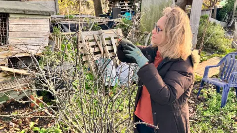 Candace Taylor is pictured wearing gloves and a dark coat pruning branches on an allotment plot, with wooden sheds, pallets and gardening equipment visible behind her.