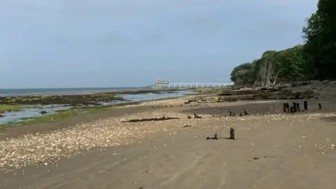 A wide shot of an empty beach