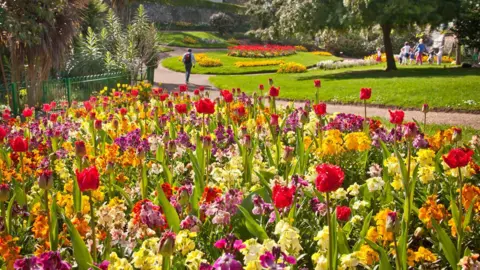 Candie Gardens The image shows a garden with a flowerbed full of brightly coloured flowers in the foreground. There is a path and grass in the distance, with further flowerbeds.