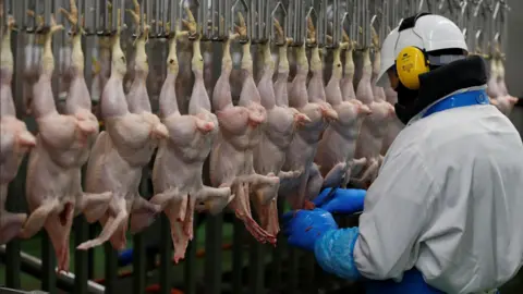 Reuters A worker processes chickens on the production line of a poultry factory. Headless, skinless chickens are hanging in a row, with a worker wearing a white overall and white hard hat surveying. He is wearing blue gloves and has yellow ear muffs on.