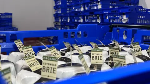 Stacks of blue plastic crates filled with packaged rounds of organic Cotswold brie in a chilled storage room.