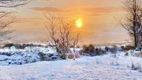 Mark Shackleton A snowy scene on Dartmoor. Snow has settled on the ground. There are trees covered in snow in the middle and on the left and right. The sun is shining low in the sky. There are kills in background. The sky has clouds. 